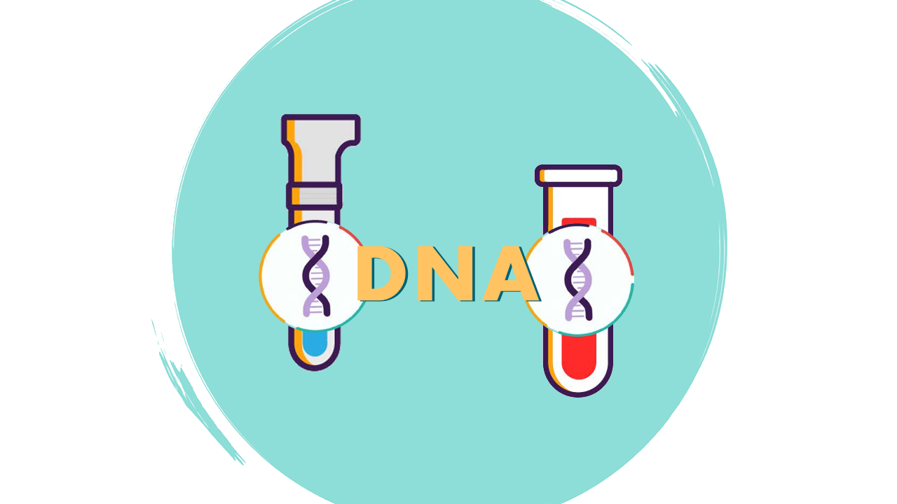 DNA and Genes